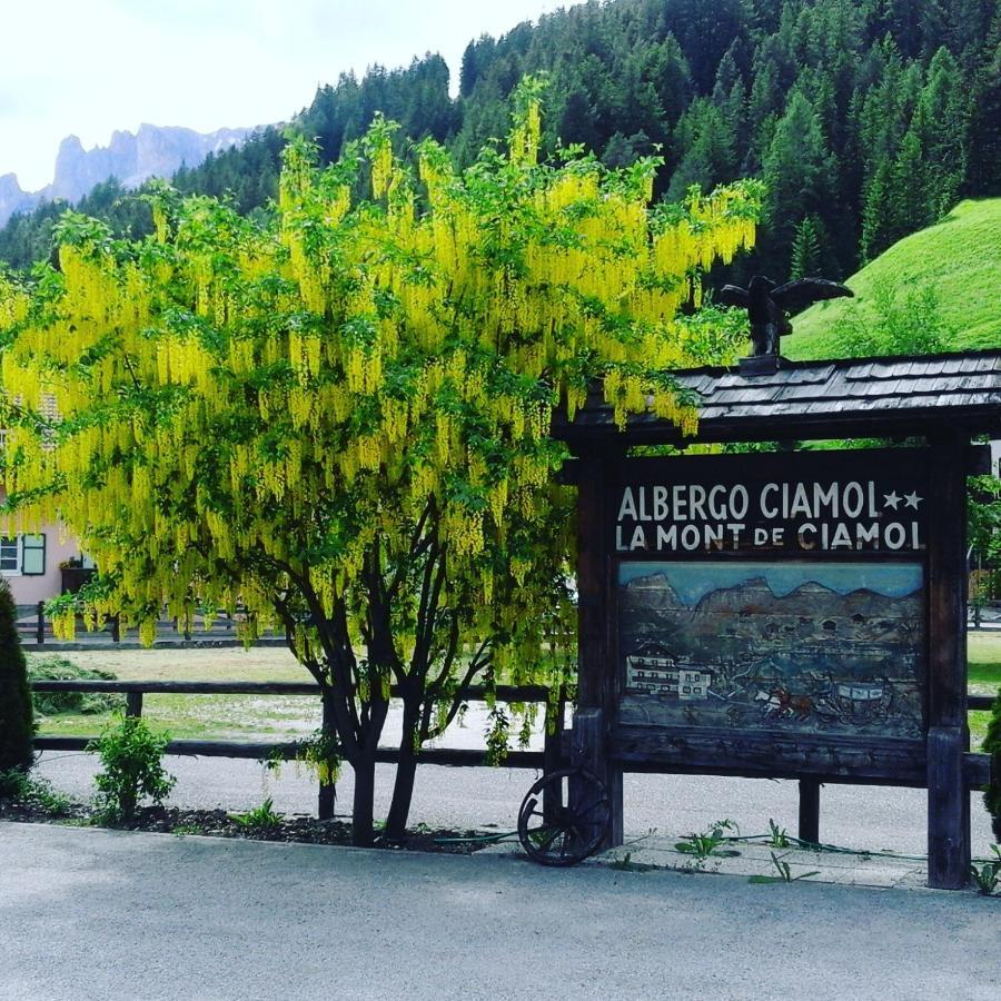 Hotel Ciamol Campitello di Fassa Extérieur photo