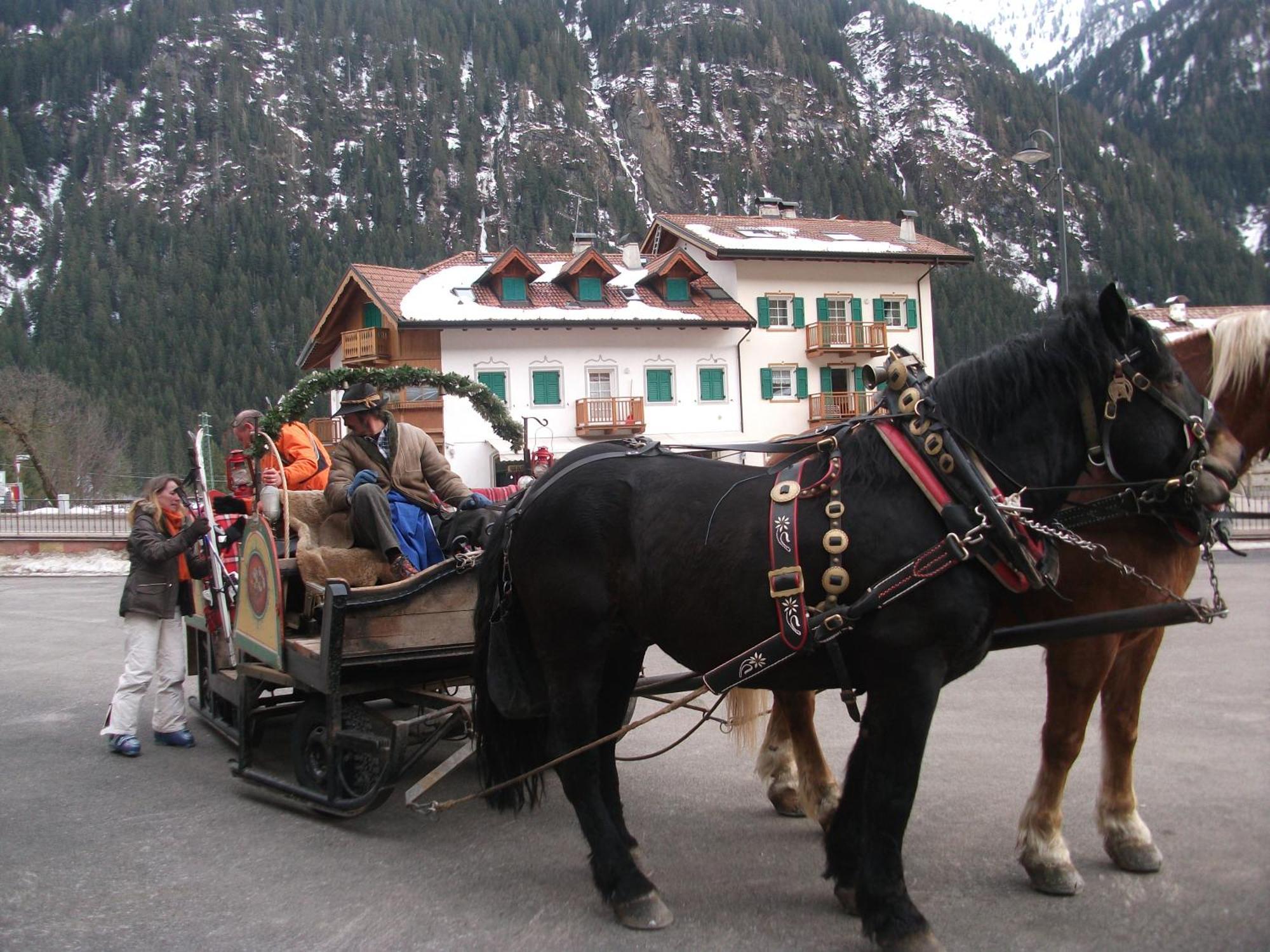 Hotel Ciamol Campitello di Fassa Extérieur photo